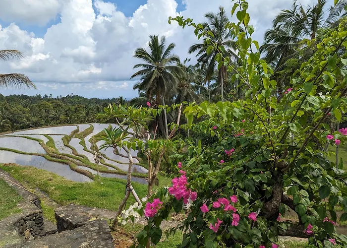 Puri Dajuma Terrace Eco & 4*