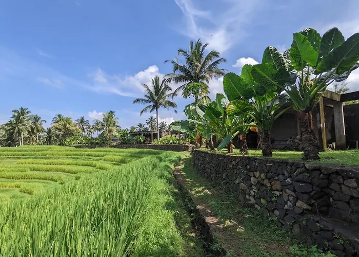 Puri Dajuma Terrace Eco & 4*