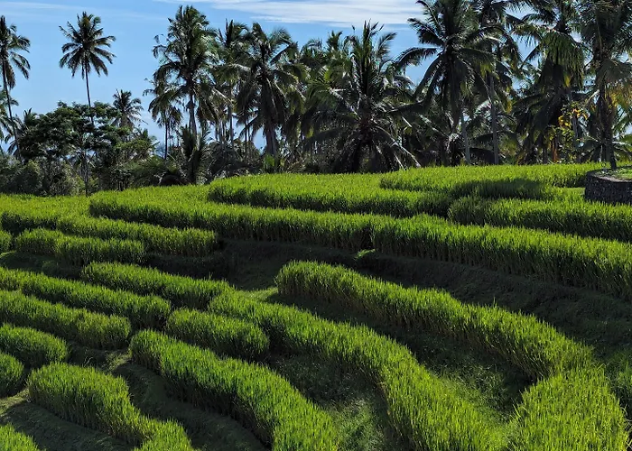 Puri Dajuma Terrace Eco & 4* Selemadeg