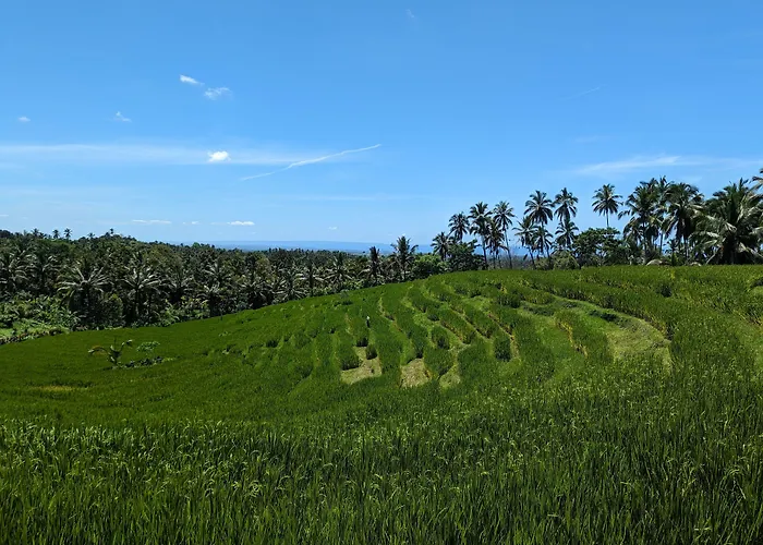Puri Dajuma Terrace Eco & Resort 4*