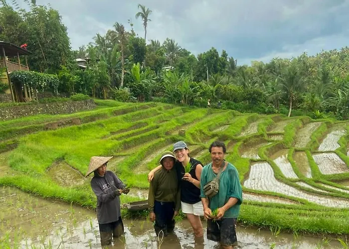 Puri Dajuma Terrace Eco & 4*