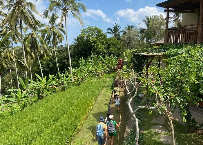 Puri Dajuma Terrace Eco & Selemadeg