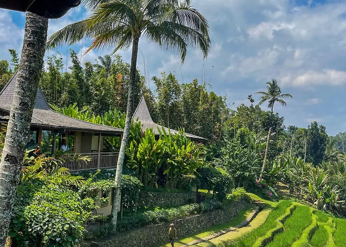 Puri Dajuma Terrace Eco & Resort Selemadeg (Bali)